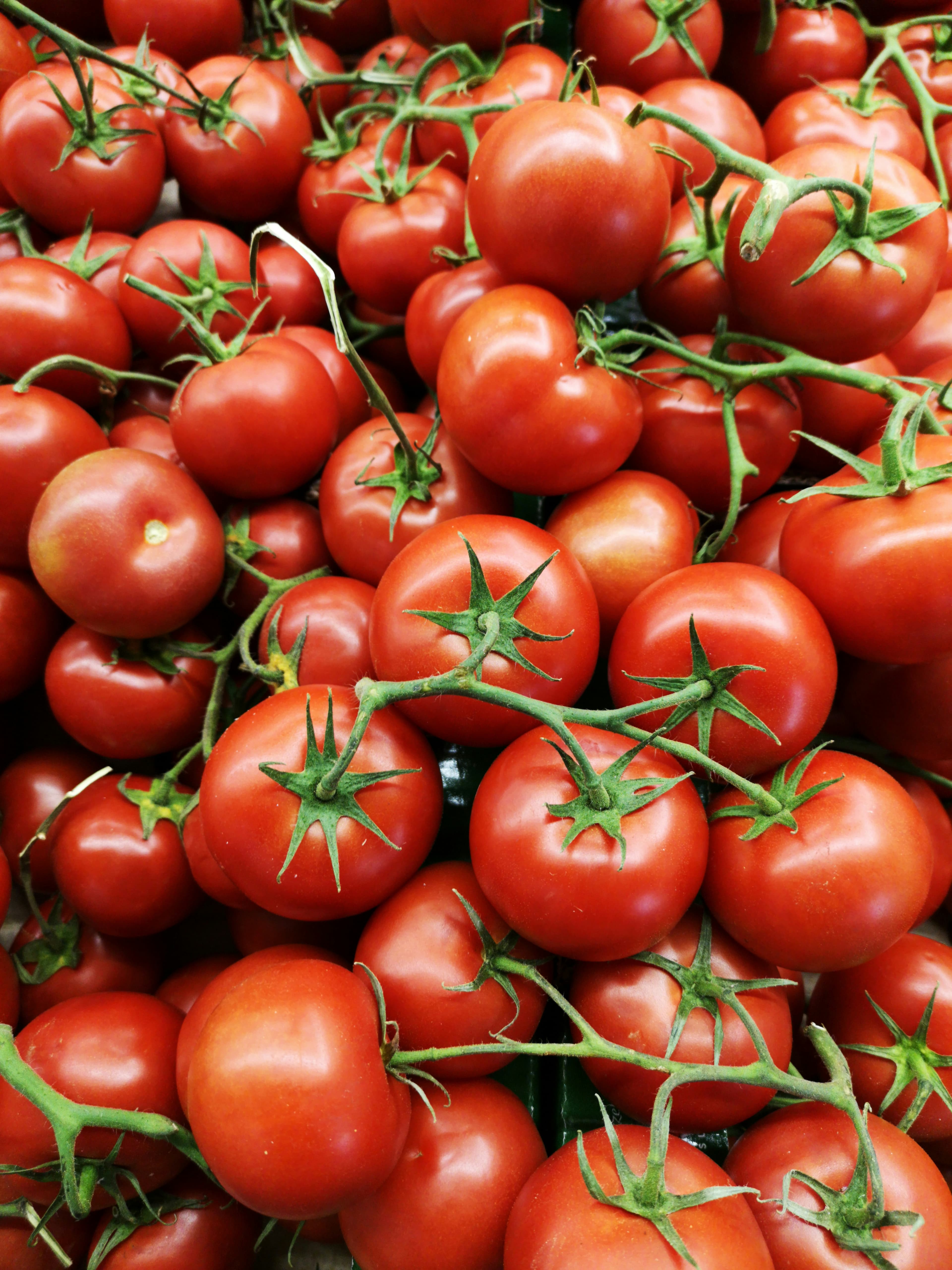 Fresh Farm Organic Red Tomatoes (1kg)
